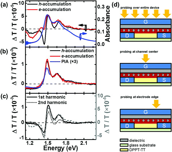 Ambipolar charge distribution in donor–acceptor polymer field-effect transistors