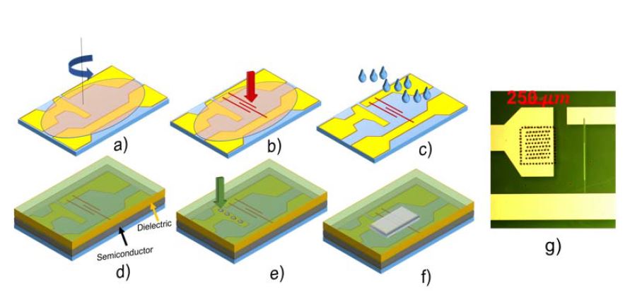 Radio-Frequency Polymer Field-Effect Transistors Characterized by S-Parameters